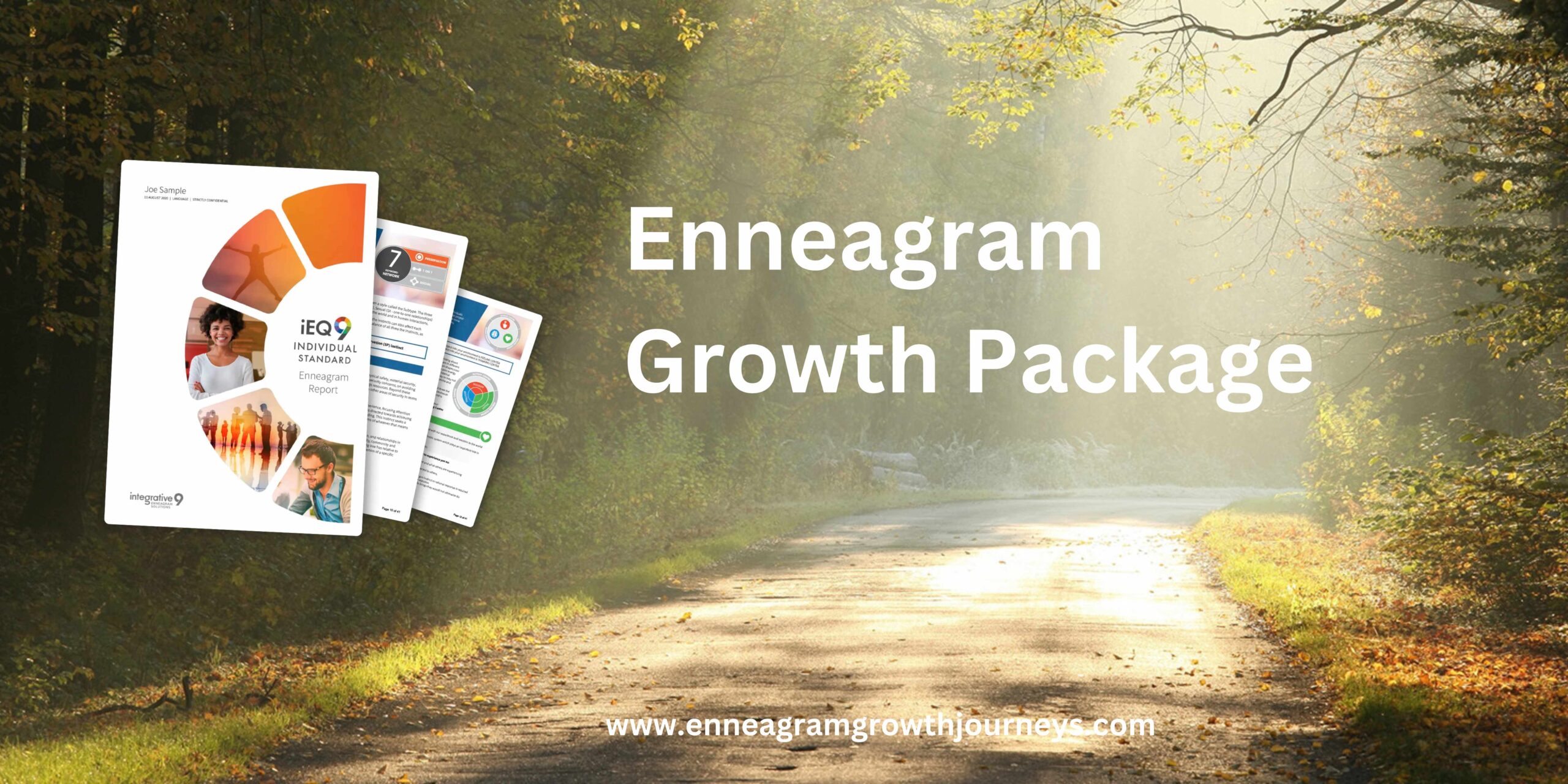 Enneagram Growth Plan Package